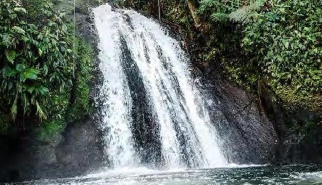 La première agence régionale de la biodiversité d’outre-mer voit le jour en Guadeloupe