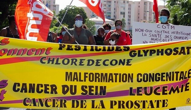 Cancer de la prostate des ouvriers agricoles : la maladie professionnelle bientôt reconnue