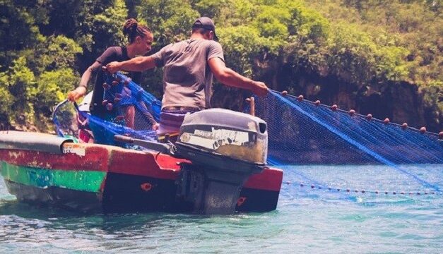 Aides d’État à la pêche : l’Europe autorise l’octroi de 63,8 millions € pour renouveler la flotte Outre-mer