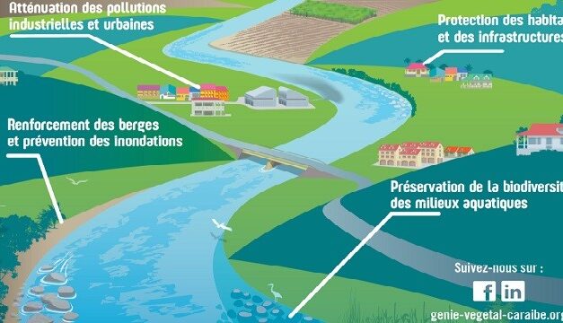 PROTÉGER les berges de cours d’eau grâce au génie naturel