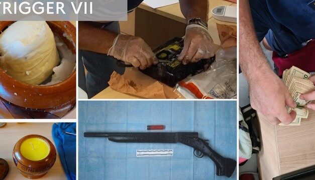 Interpellations et saisies d’armes dans une grande opération de police internationale en Guadeloupe