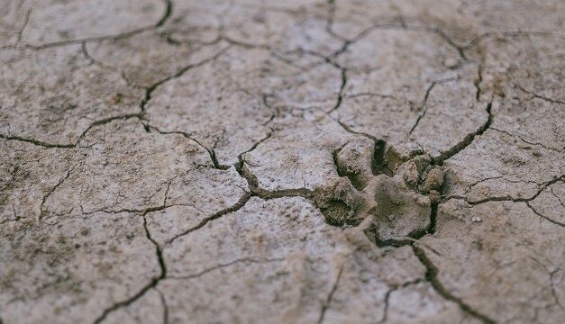 Sécheresse et manque d’accès à l’eau en outre-mer, l’ONU tire la sonnette d’alarme