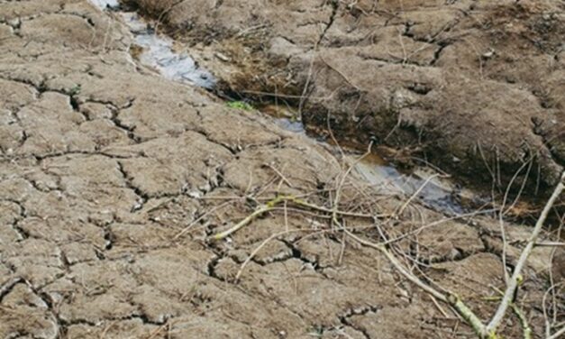 Modernisation du système d’indemnisation des pertes agricoles : le projet de loi entériné