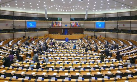 Européennes : le Rassemblement national domine aux Antilles-Guyane