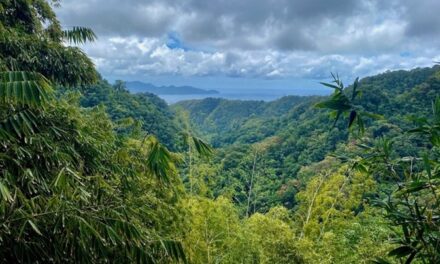 Stratégie nationale biodiversité 2030 : quelle place pour les Outre-mer ?