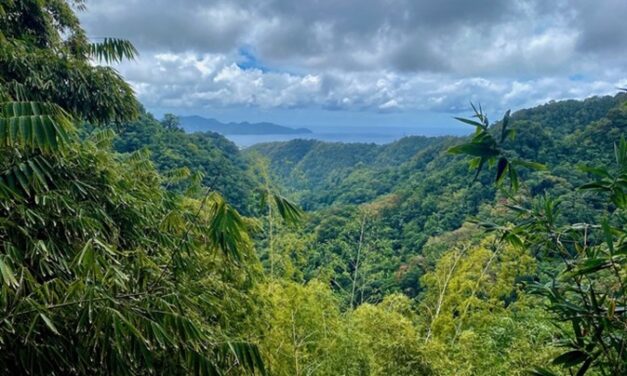 Stratégie nationale biodiversité 2030 : quelle place pour les Outre-mer ?