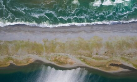 Dans 30 ans, de nombreux états insulaires risquent de disparaître sous les eaux