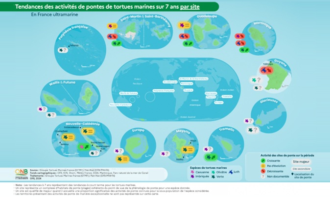 Pontes des tortues marines dans les outre-mer :  diminution sur 31 % des sites fréquentés